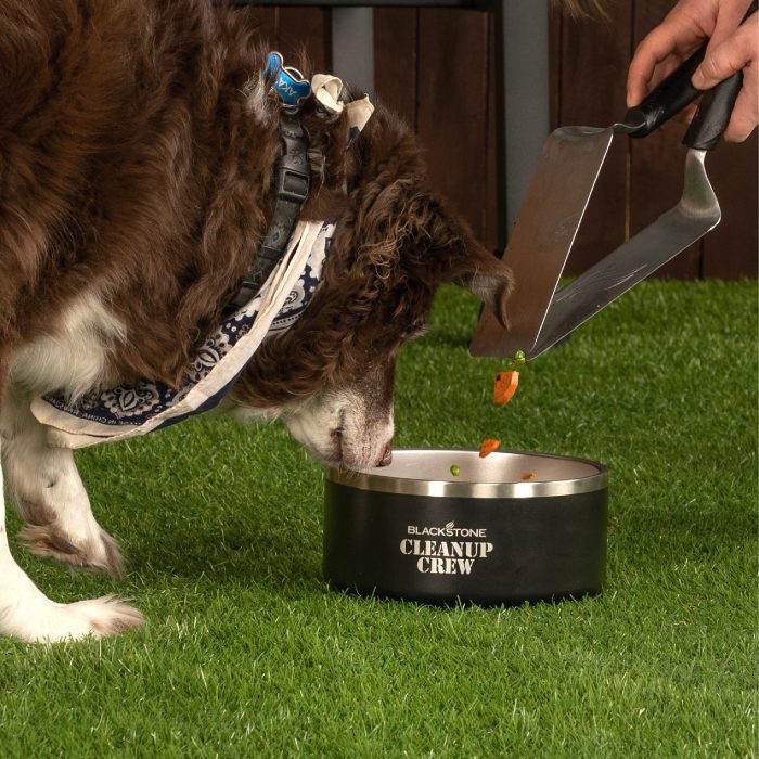 5845 DogBowl WebSequence4