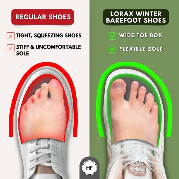Comparison 2