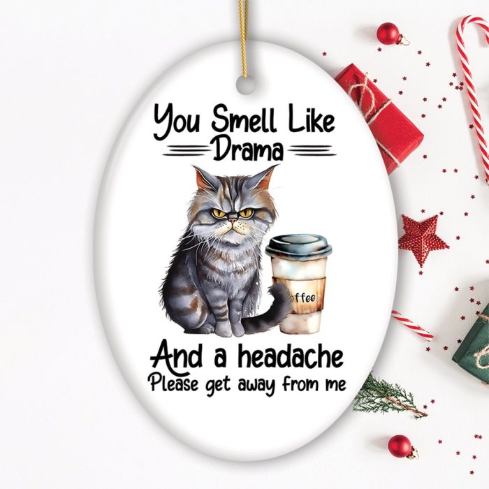 FORPRODUCTYouSmellLikeDramaQuirkyCat CuteandFunnyChristmasGift