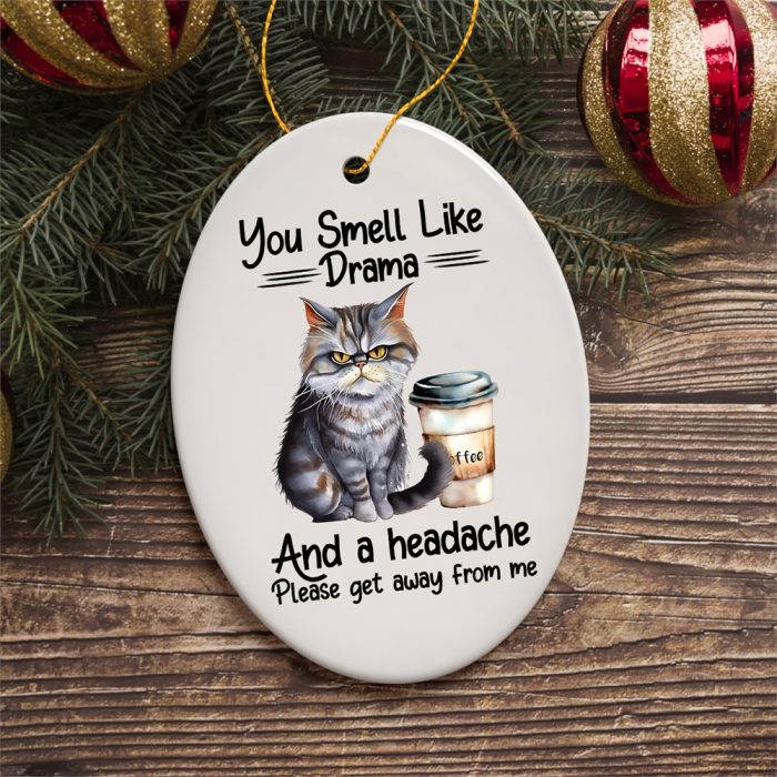 FORPRODUCTYouSmellLikeDramaQuirkyCat CuteandFunnyChristmasGift3DRealisticMockup 02