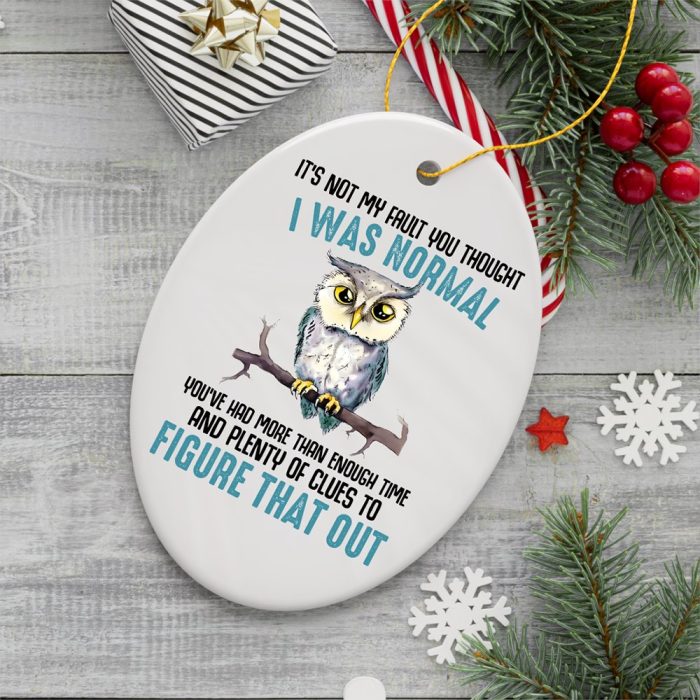 FORPRODUCTYouThoughtIwasNormalQuirkyOwl CuteandFunnyChristmasGift3DRealisticMockup 10