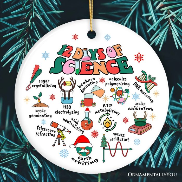 ForProduct 0112DaysofScienceOrnament ChristmasGiftforScientistNerdorTeacherMockupGroup 02