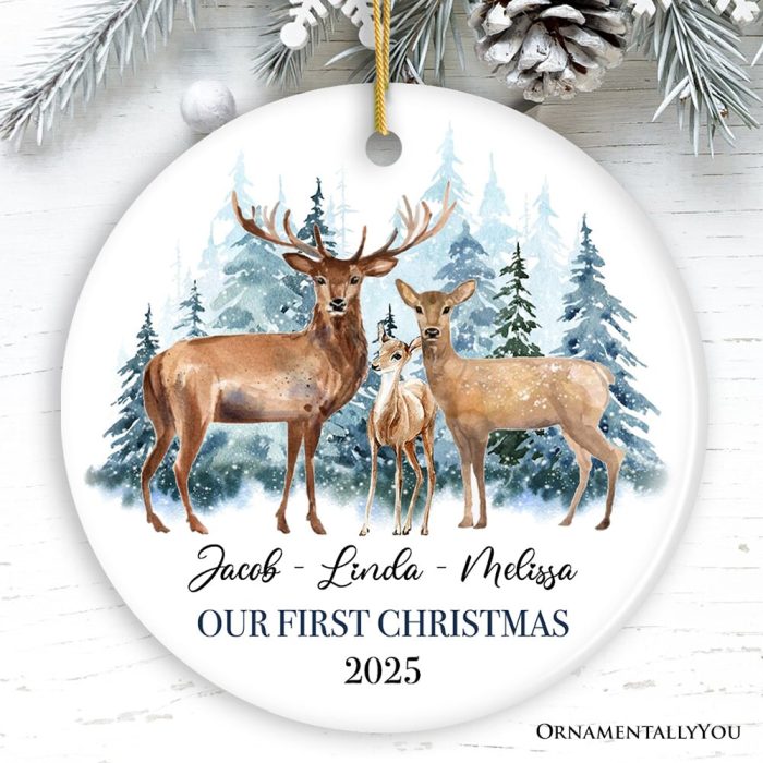 ForProduct 01WatercolorFamilyDeerChristmasPersonalizedOrnamentMockupGroup 05 01 9f78a686 a3d2 49f1 9c41 0871a77e57c1