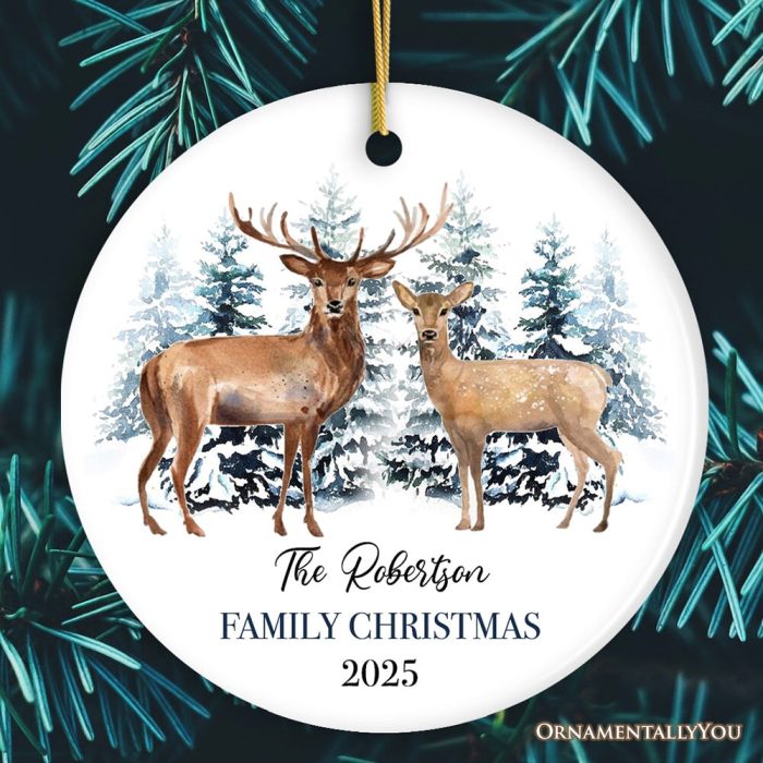 ForProduct 02WatercolorFamilyDeerChristmasPersonalizedOrnamentMockupGroup 05 02 55411a30 55bc 4922 bfd2 6e336f61995f