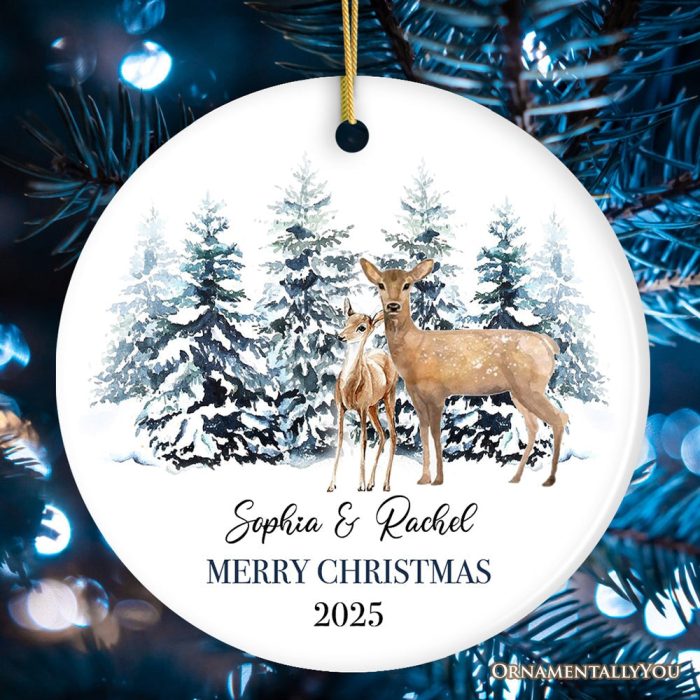 ForProduct 03WatercolorFamilyDeerChristmasPersonalizedOrnamentMockupGroup 05 03 d6626849 592f 43c0 98dd f39555ca9222