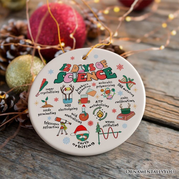 ForProduct 0412DaysofScienceOrnament ChristmasGiftforScientistNerdorTeacher3DRealisticMockup 03
