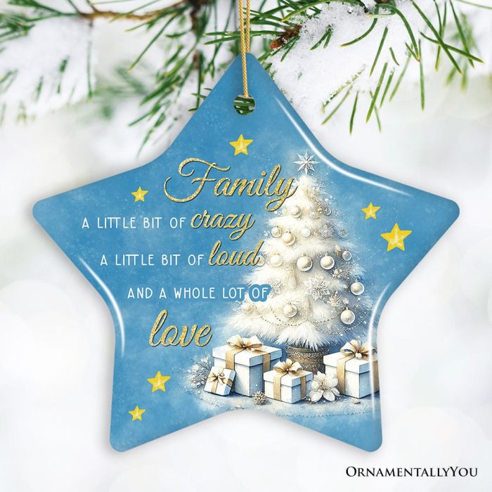 For Product 01 Whimsical Family Quote Ornament Enchanting White Christmas Appreciation Gift and Tree Decor Star Mockup Group 05 01