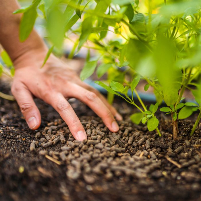 mulchFertilizer 9