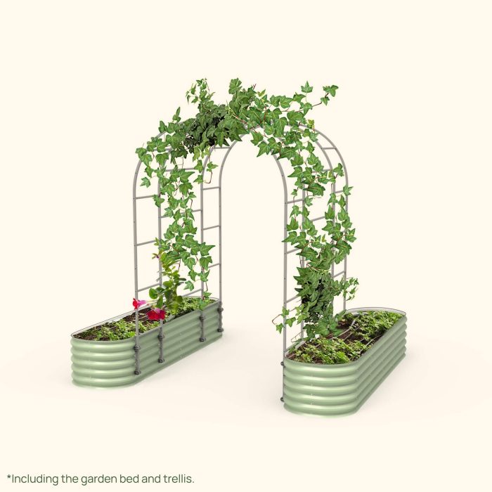 vego garden 17Tall9 1 VAT60