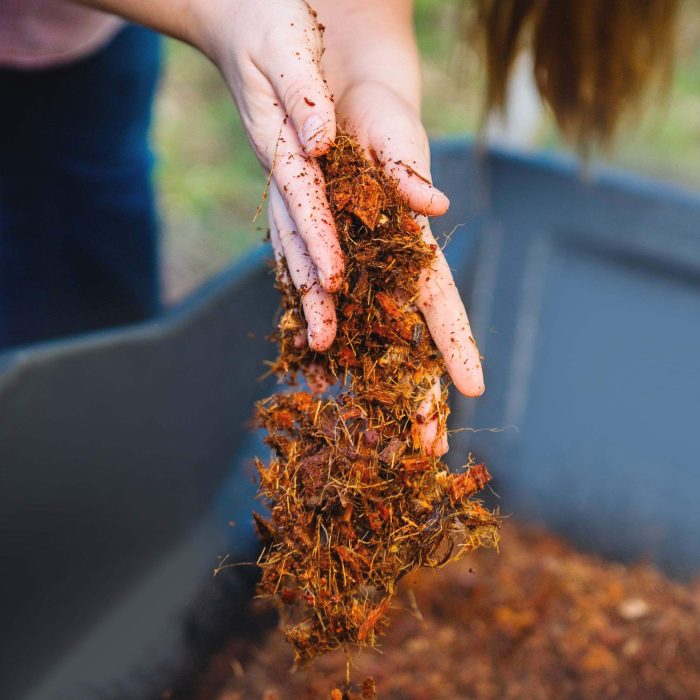 vego garden Coco Mulch lifestyle 04 1