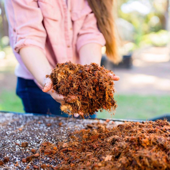 vego garden Coco Mulch lifestyle 05 1