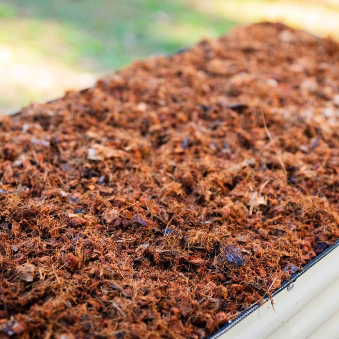 vego garden Coco Mulch lifestyle 06 1