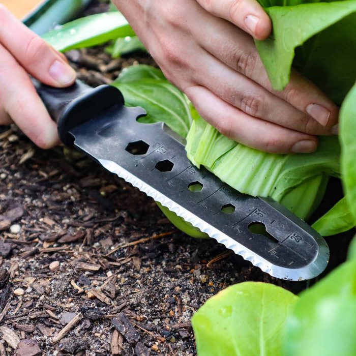 vego garden hori squared3