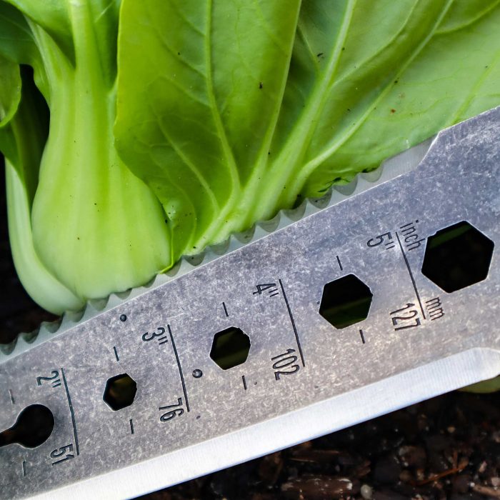 vego garden hori squared7