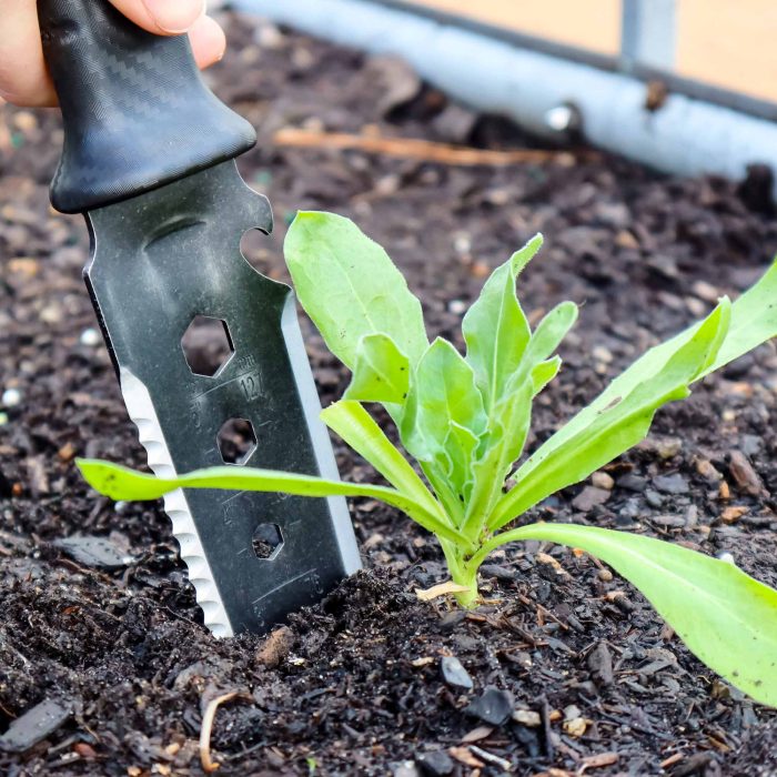 vego garden hori squared8